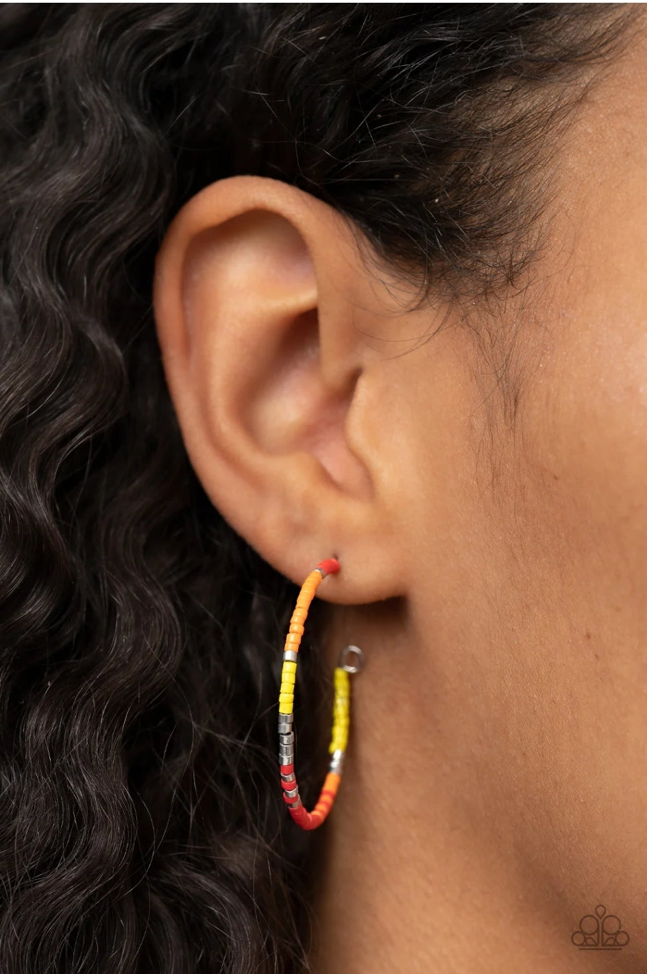 Joshua Tree Tourist - Multi