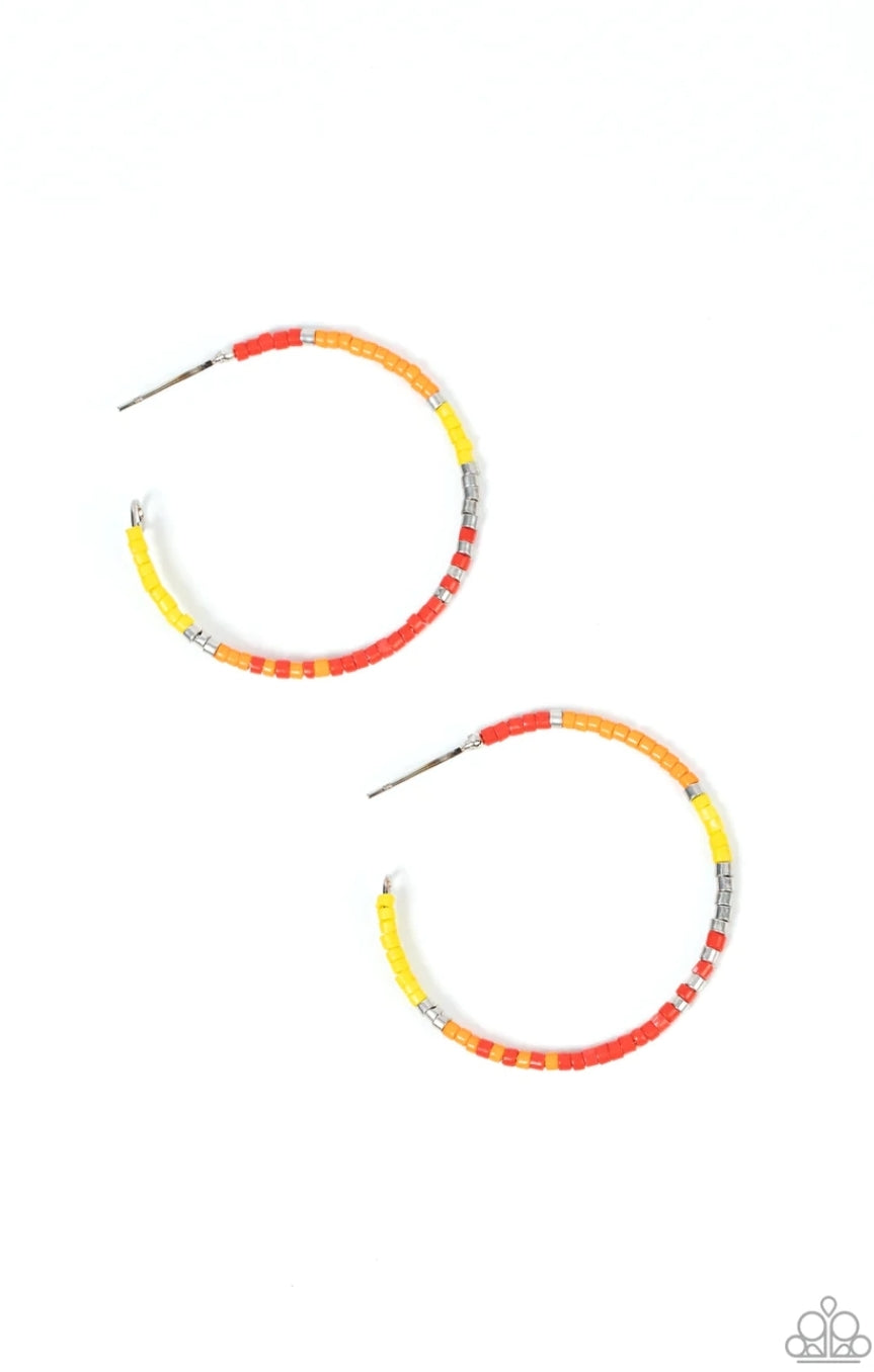 Joshua Tree Tourist - Multi